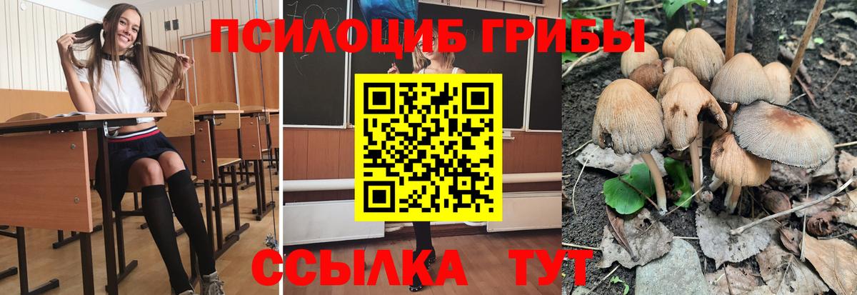 Псилоцибиновые грибы MAGIC MUSHROOMS Сыктывкар