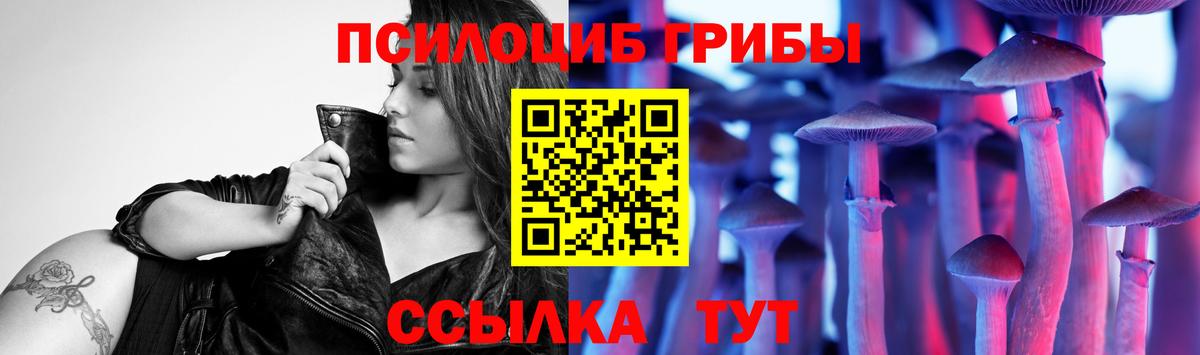 даркнет сайт  Вход с VPN  Сыктывкар  Псилоцибиновые грибы Magic Shrooms  Псилоцибиновые грибы мухоморы 